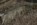 Westwall-Relikt: Beobachtungsbunker WH 7016